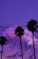 /album/fotogaleria/a1460183-648331305205462-1814074652-n-jpg/