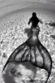 /album/fotogaleria/a1609595-671945679510691-1400544807-n-jpg/